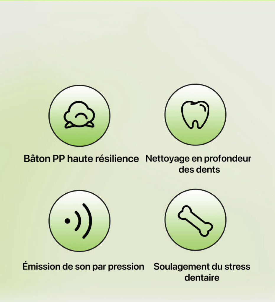 Jouet sonore en corde pour chien