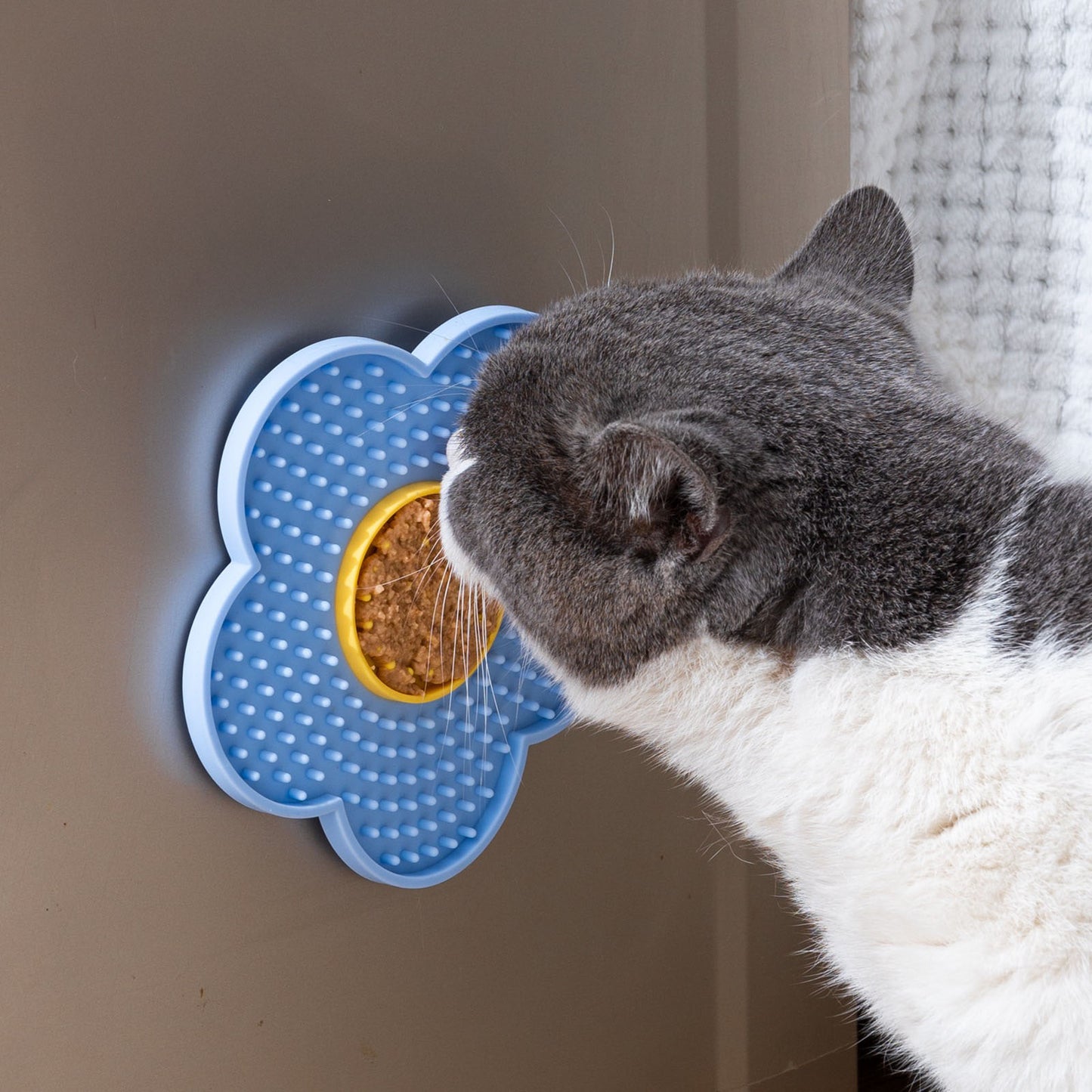 Tapis de léchage en silicone pour chien