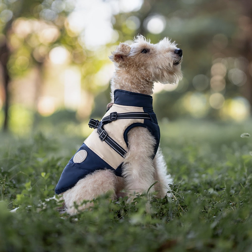 Manteau Chien avec Harnais Intégré