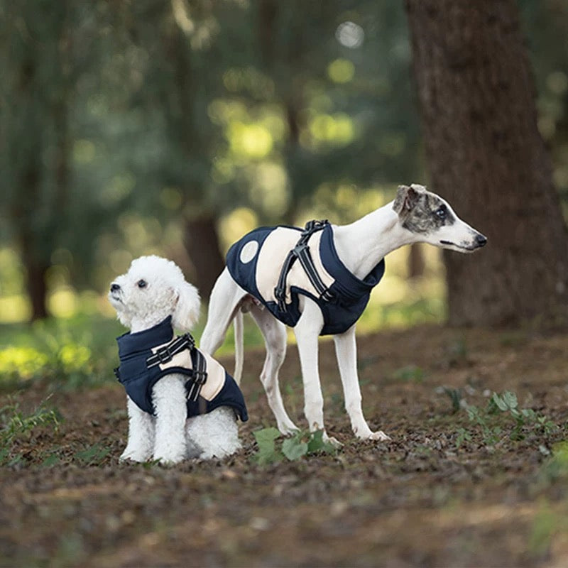 Manteau Chien avec Harnais Intégré