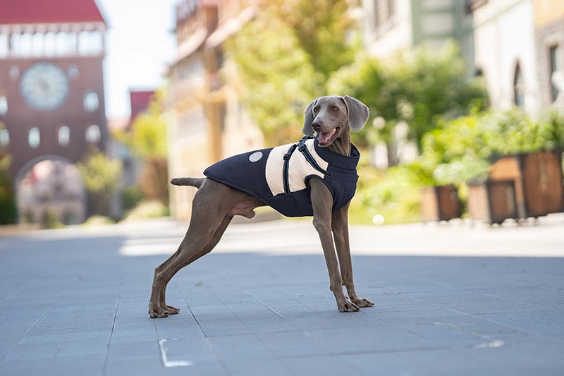 Manteau Chien avec Harnais Intégré