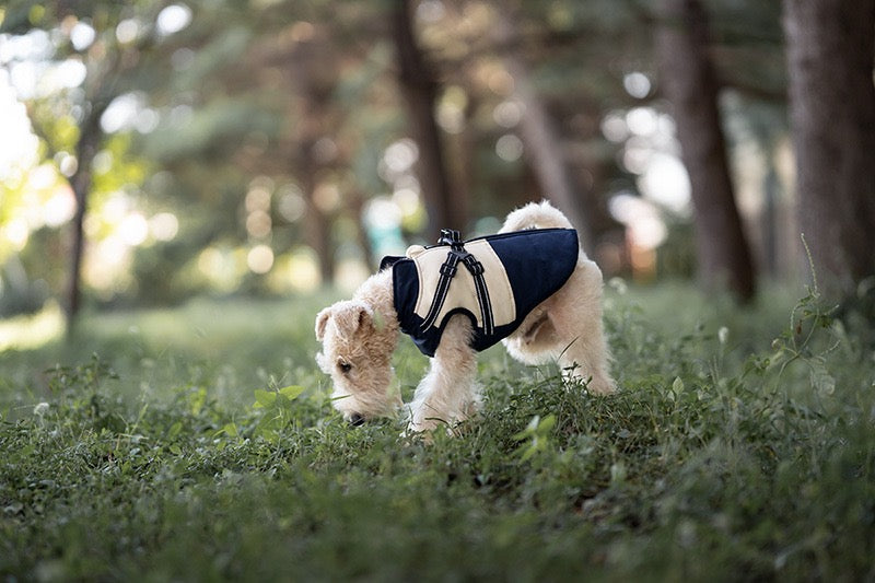 Manteau Chien avec Harnais Intégré