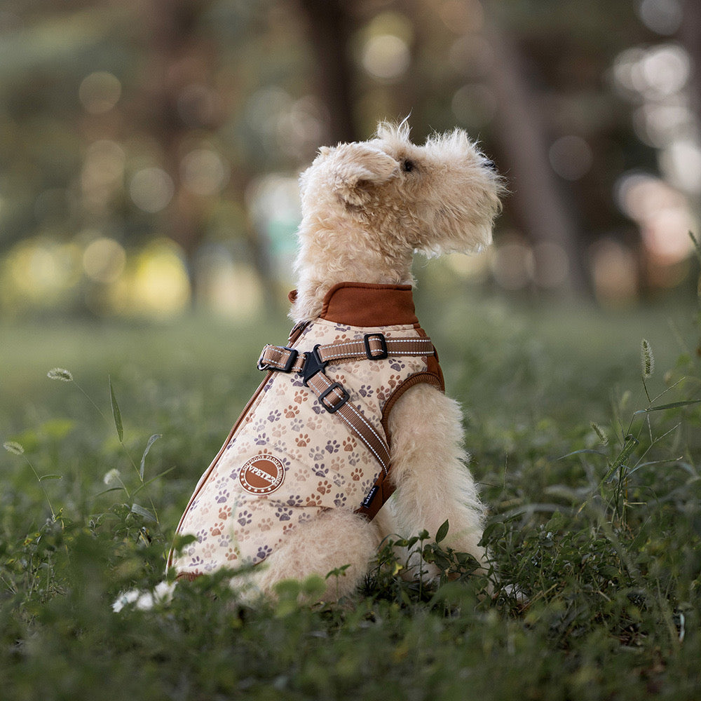 Manteau pour Chien avec Harnais Intégré et Motifs