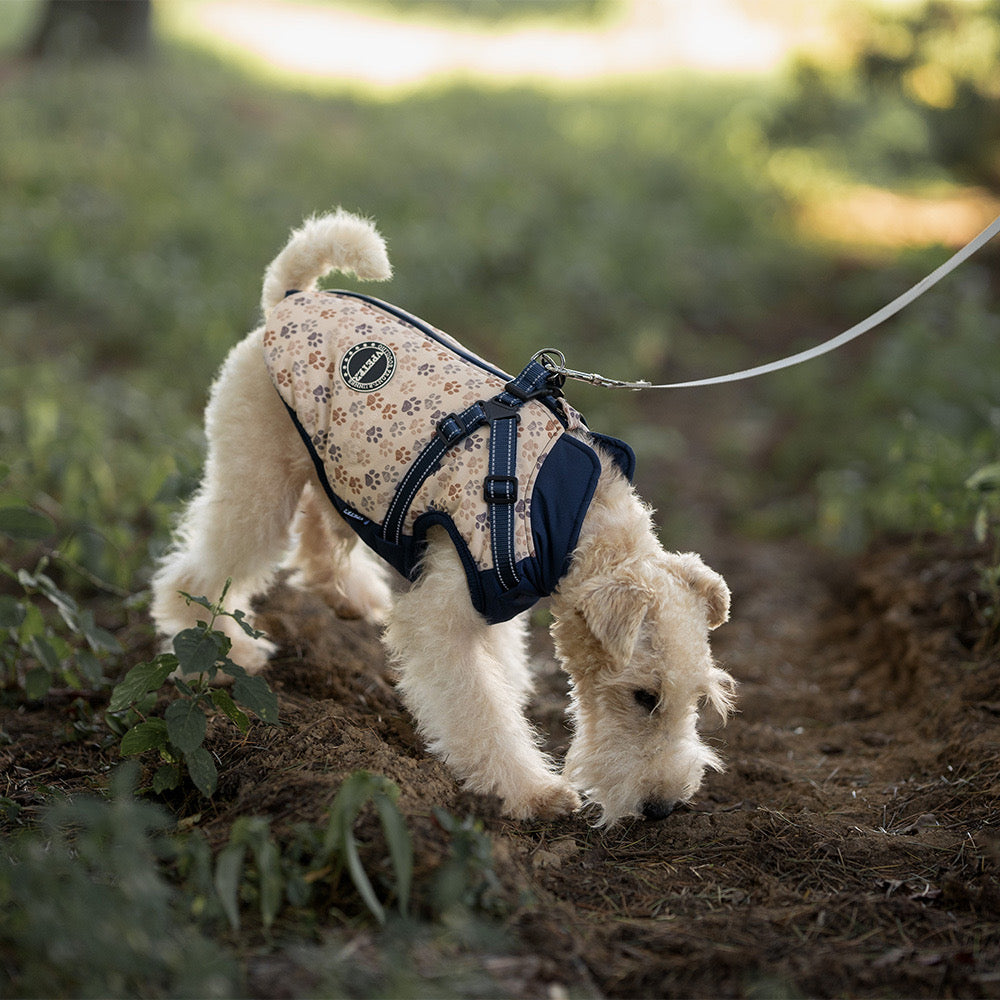 Manteau pour Chien avec Harnais Intégré et Motifs