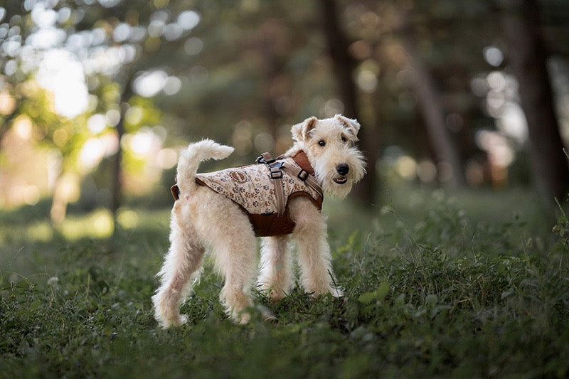 Manteau pour Chien avec Harnais Intégré et Motifs
