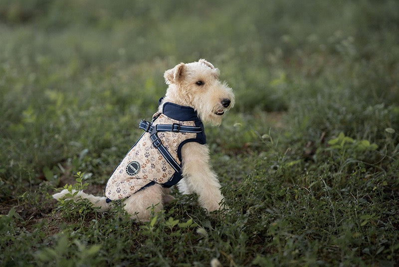 Manteau pour Chien avec Harnais Intégré et Motifs