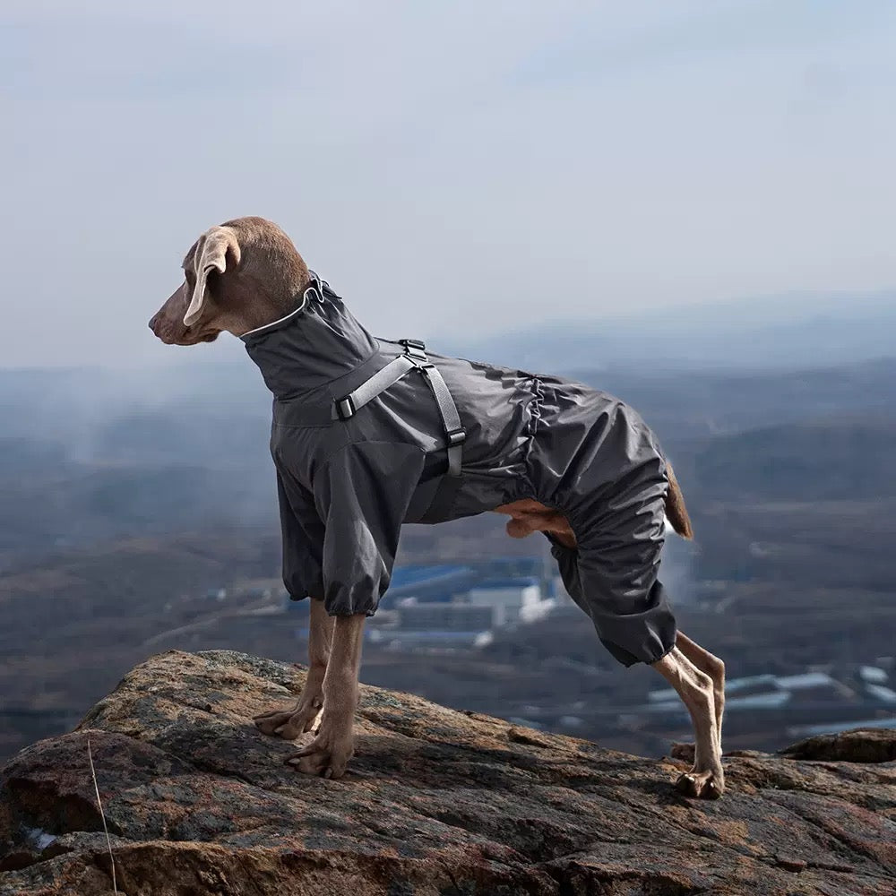 Manteaux Imperméables Pour Chiens