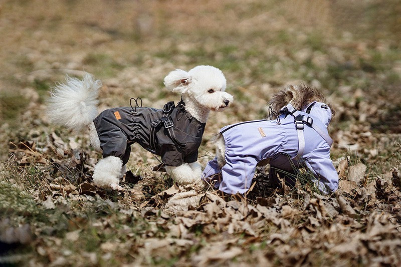 Manteaux Imperméables Pour Chiens