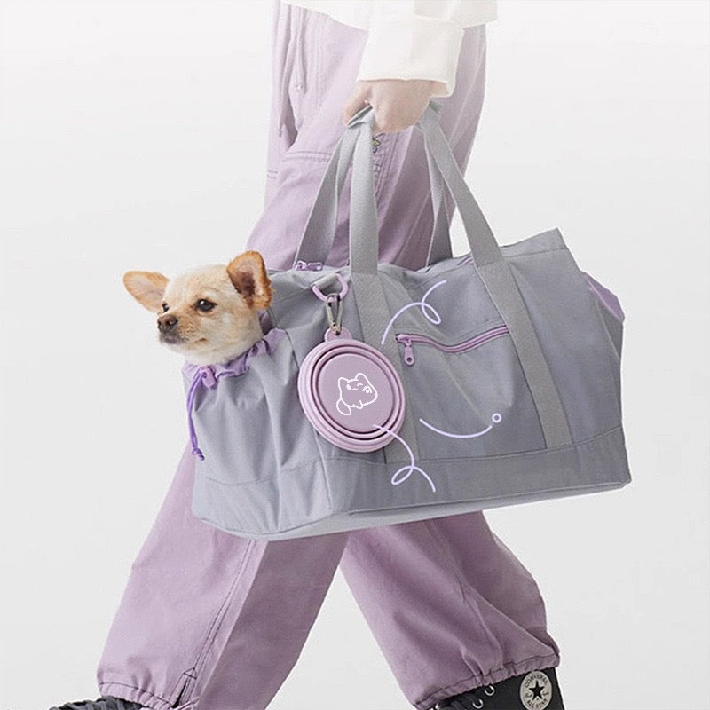 Gamelles de Voyage pour Chien