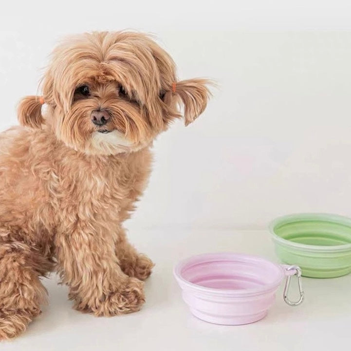 Gamelles de Voyage pour Chien