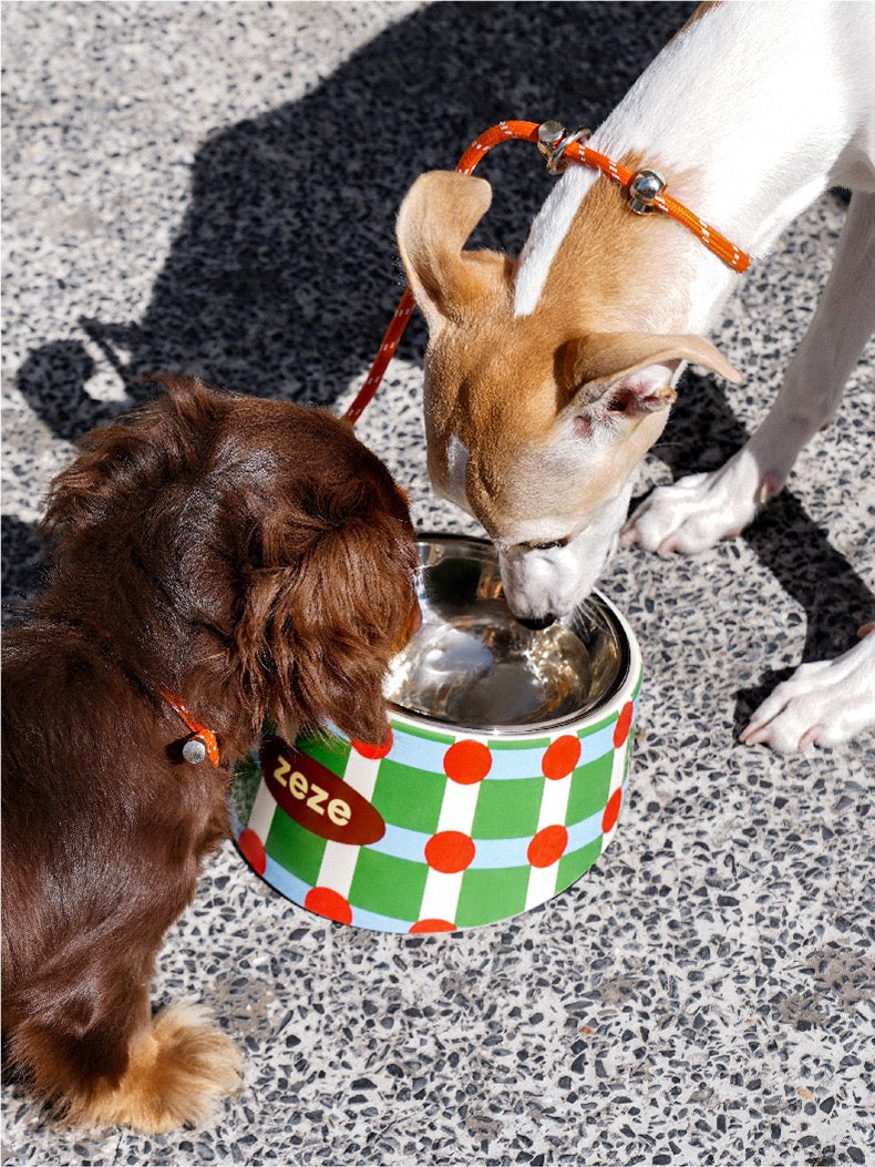 Gamelle pour Chiens et Chats en Acier Inoxydable