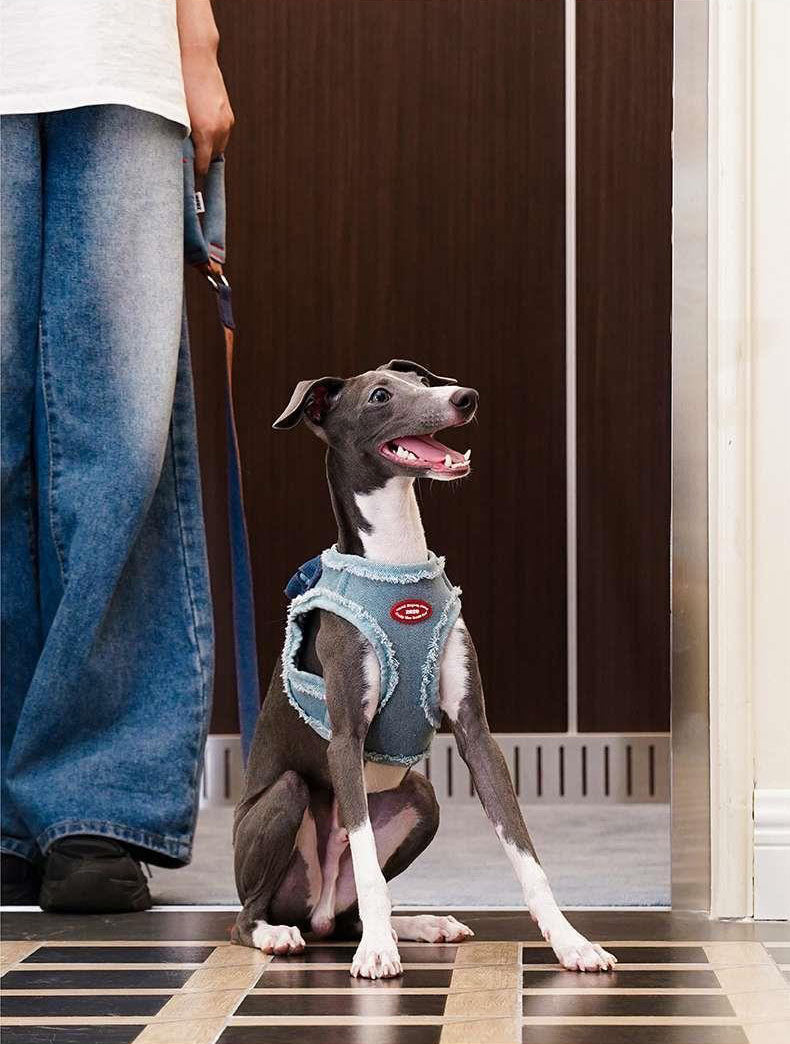 Harnais pour Chien en Denim