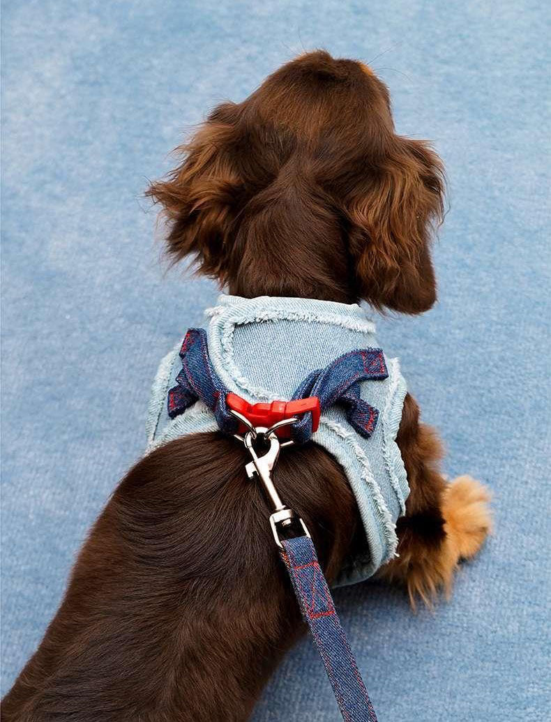 Harnais pour Chien en Denim