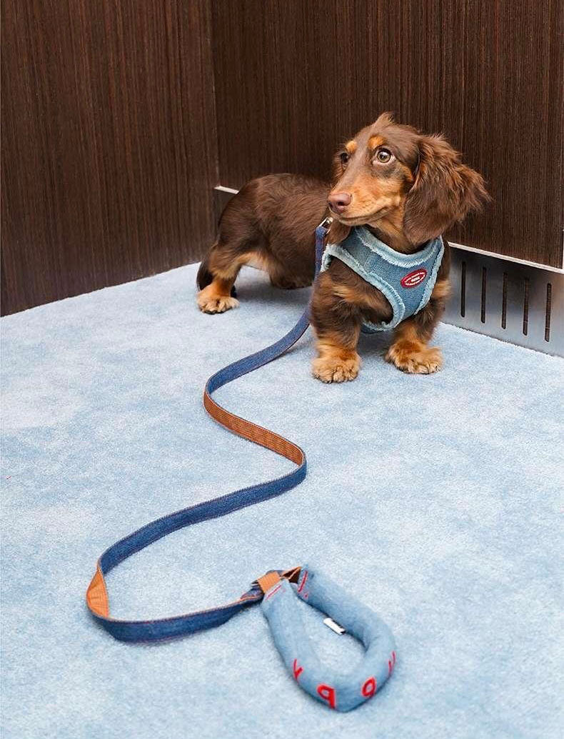 Harnais pour Chien en Denim