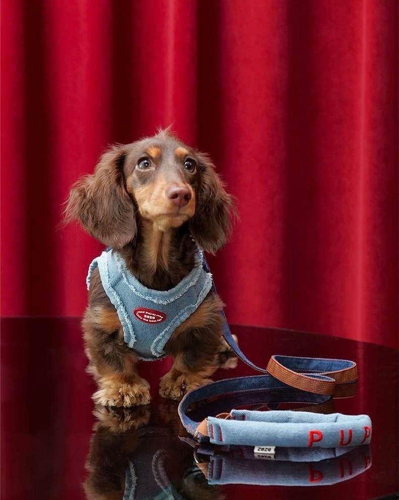 Harnais pour Chien en Denim