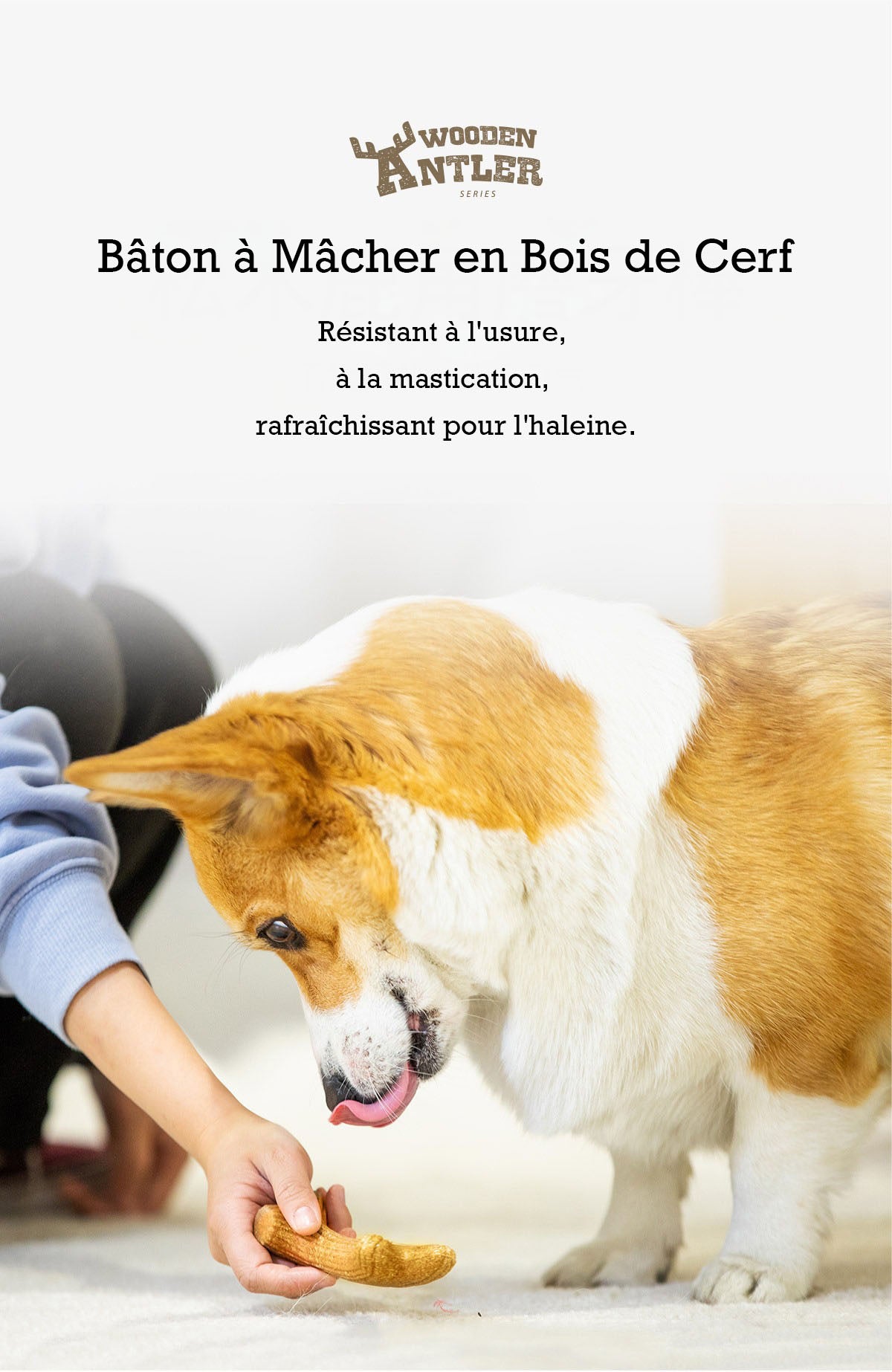 Bâton à Mâcher en Bois de Cerf pour Chien