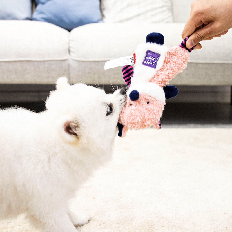 Jouet pour Chien avec Bruit de Papier Froissé