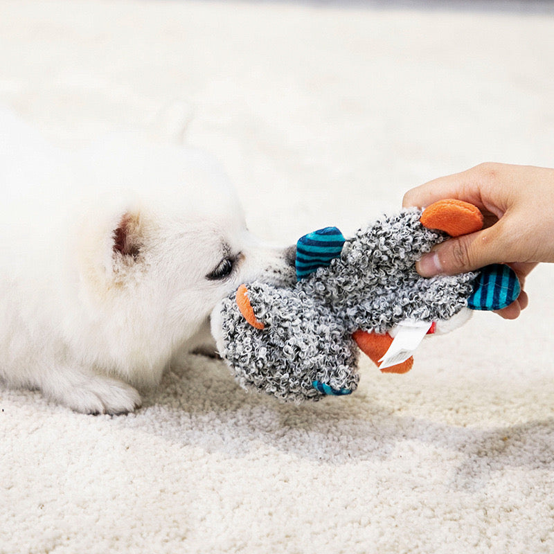 Jouet pour Chien avec Bruit de Papier Froissé