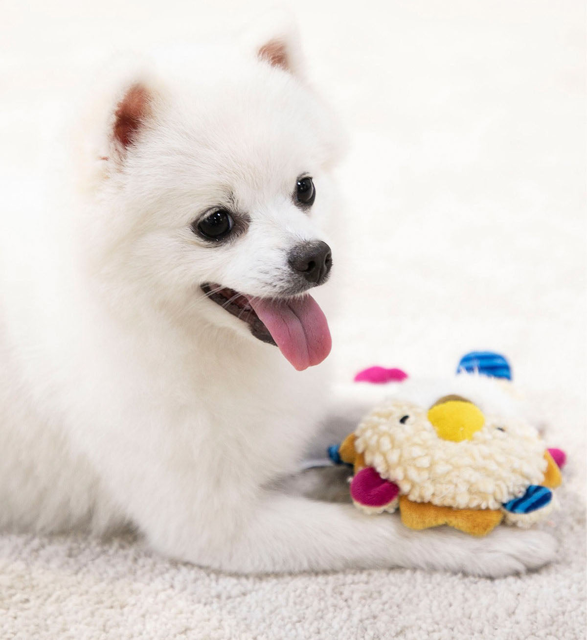 Jouet pour Chien avec Bruit de Papier Froissé