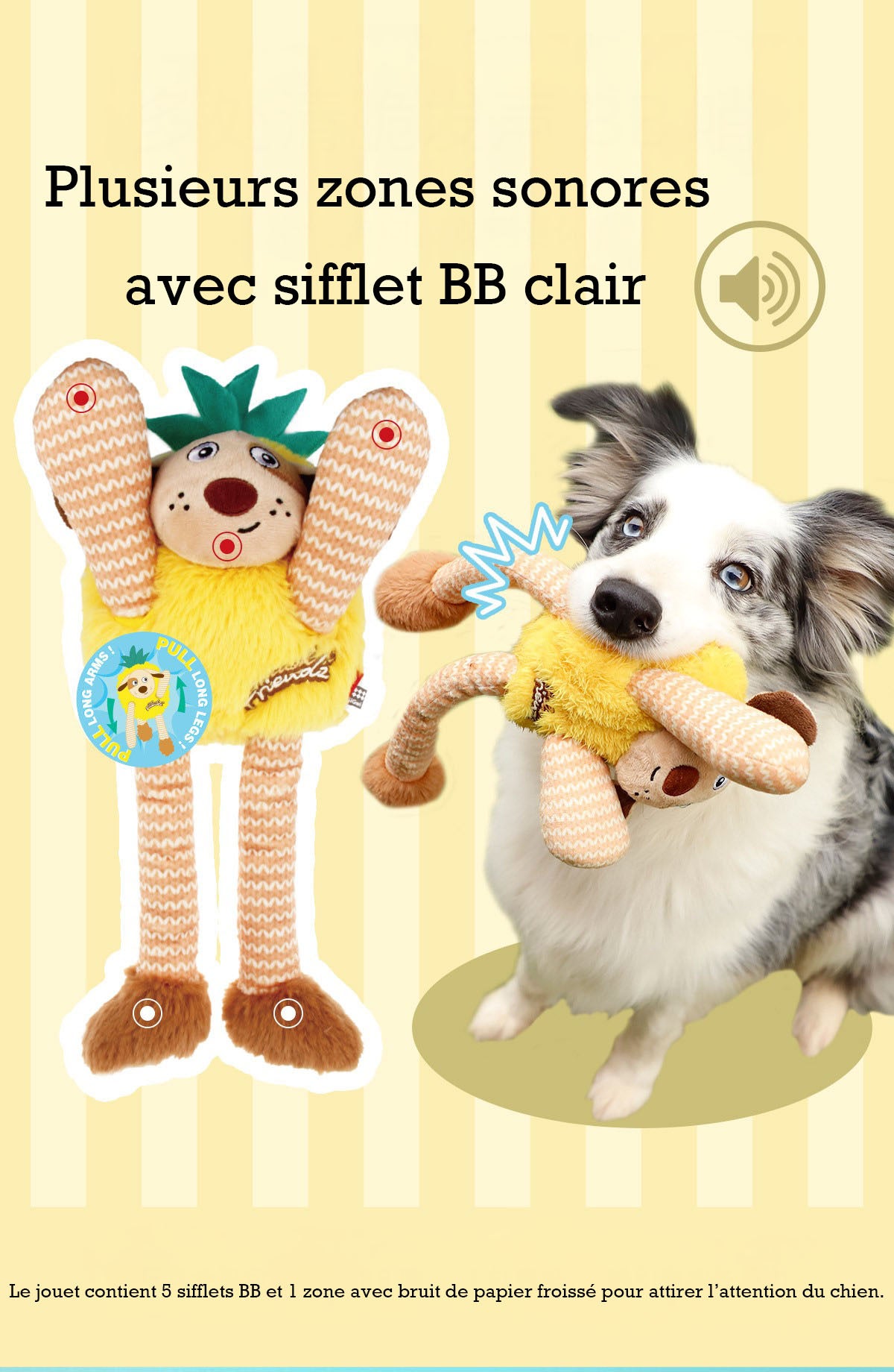 Jouet Sonore en Forme de Fruit pour Chien