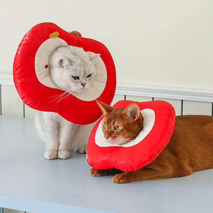 Collerette Imperméable Pomme pour Animaux
