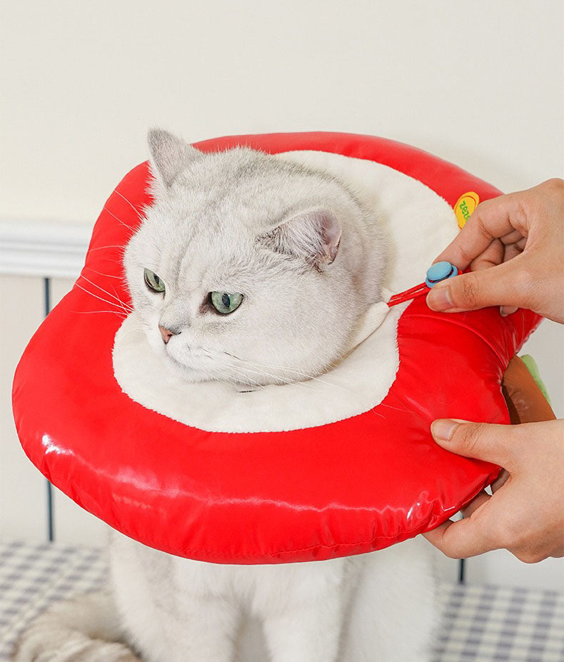Collerette Imperméable Pomme pour Animaux
