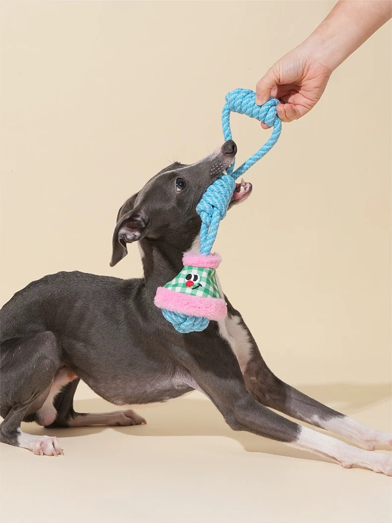 Jouet à Tirer pour Chien