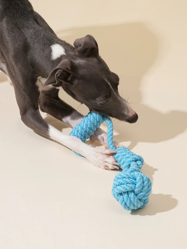 Jouet à Tirer pour Chien