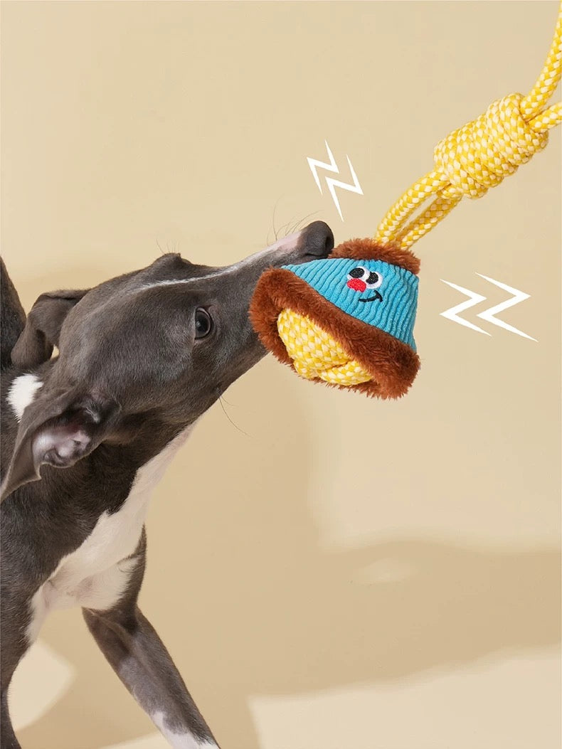 Jouet à Tirer pour Chien
