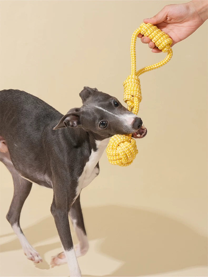 Jouet à Tirer pour Chien