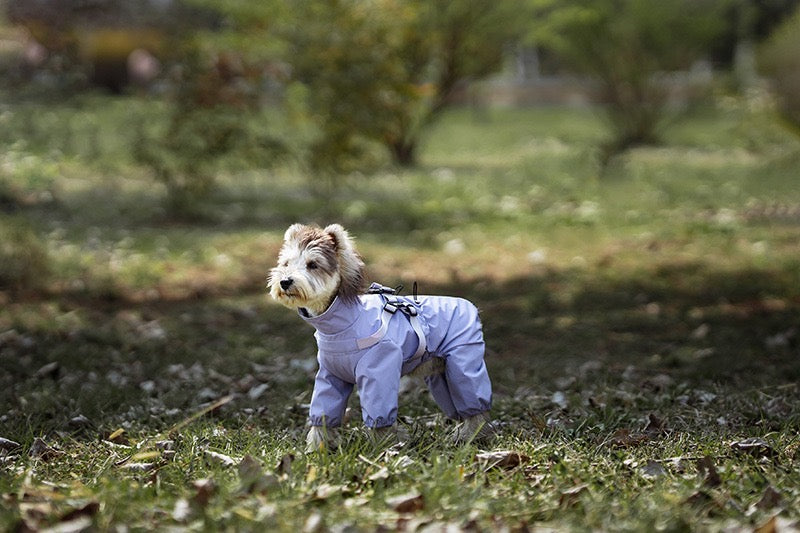 Manteaux Imperméables Pour Chiens