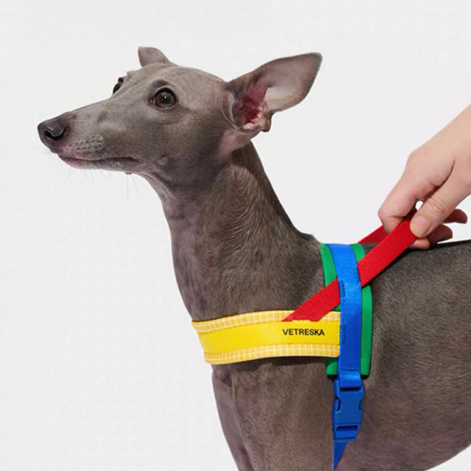 Kit Harnais et Laisse pour Animaux