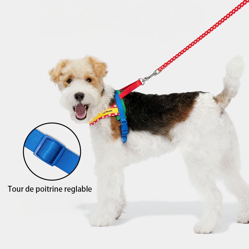 Kit Harnais et Laisse pour Animaux