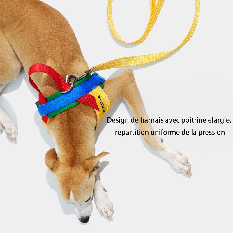 Kit Harnais et Laisse pour Animaux
