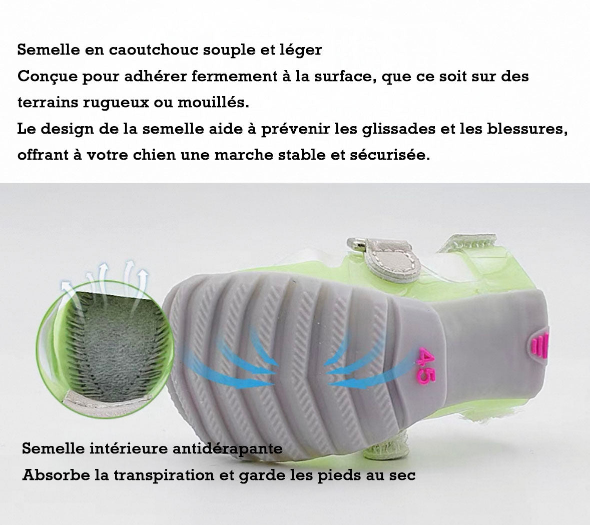 Bottes de Pluie pour Chien